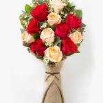 Nunc imperdiet sed erat vel